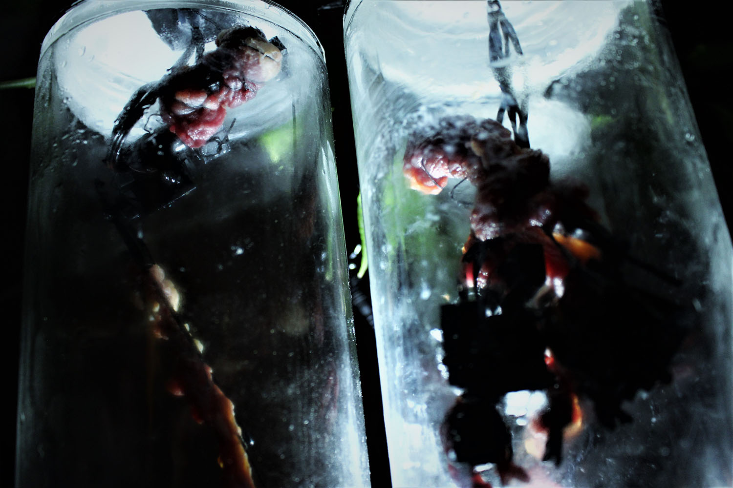in-vitro